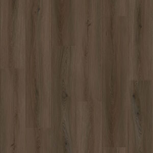 Kettle Oak